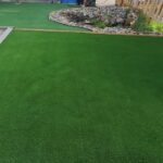 A Garden Dreams of Stone and Sunshine