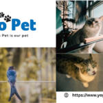 Cat Chew Toys For Sale In Uk | Yopet.co.uk