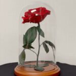 Bloom Luxury Roses: Timeless, Handcrafted Preserved Roses from The Enchanted Petal