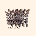 Sausage Dog Treats For Sale – Premium Aussie-Style Snacks