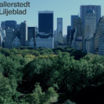 Så här görs land-för-land-rapportering på rätt sätt