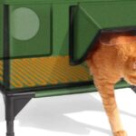 Best Dog Food for Puppy German Shepherds: Healthier Growth