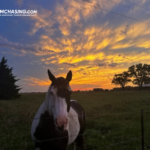 Storm Chasing Tours USA: Expert Guides, Custom Itineraries, Unforgettable Weather Encounters