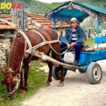 Tours from Chisinau: Nearby Day Trips & Cultural Escapes