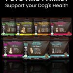 Salmon Oil for Dogs: Boost Health Naturally with Premium VitaminPaws