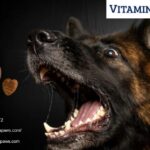 Melatonin For Dogs | Vitaminpaws.com