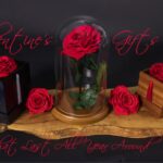 Shop luxury forever roses – elegant preserved blooms in Clifton