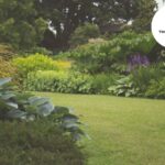Gardening Services Bristol | Reliable Garden Care by Tidy Gardeners Bristol