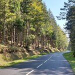 Black Forest Motorcycle Tour: Ride Germany’s Scenic Twists