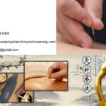 Advanced Chiropractic Therapy Penang | Tcmchinesephysicianchiropracticpenang.com