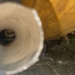 Reliable Wildlife Removal in Branchville, NJ