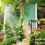 Landscaping Services For Homes | Gardenvisions.co.nz