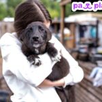 Find Puppy Play Dates Near Me: Safe, Fun Meetups for Your Pup