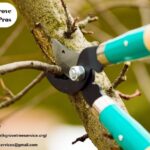 A Local Tale of Careful Trees and Quiet Streets