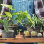 Marketplace For Home Based Food Sellers | Cuina