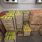 Red Sugar Beans Wholesale Supplier | Trusted Tanzanian Bulk Beans