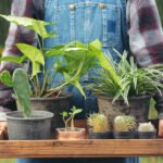 A Farm Tale: Connecting Crops, Community, and Commerce