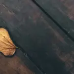 Boost Your Connection with an Internet Bonding Device