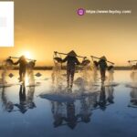 Sell Business Singapore | Feyday.com