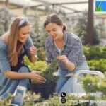 Weed Control Treatments In San Antonio | Thickgreenhealthy.com