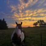 Tornado Chasing: Safe, Guided Storm Adventures Across the UK and Beyond