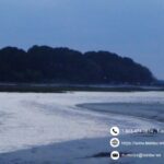 Trusted support from Guardian ad litem Beaufort County SC experts