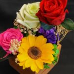 Preserved Rainbow Roses: Lasting Colourful Blooms for Every Moment