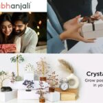 Crystal Tortoise: Harness Calm Energy and Natural Beauty