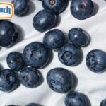 Velo Nicotine Pouches: Smooth, Flavorful Nicotine On the Go