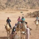 A Night of Riverside Wonders in the City of Light