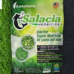 Natural Weed Killer Safe For Pets: Gentle, Effective Solutions