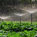 Garden Landscape Company Near Me | Paradise-escape.ae