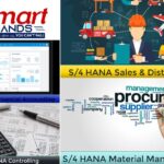 Sap Training Sd | Thesmarthands.com