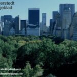 Företagsskatt och regulatorisk efterlevnad: Trygga rättsprocesser