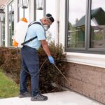 Pest Control Services Calgary – Fast, Safe & Local Experts