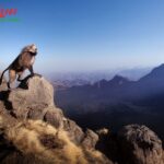 Safe and Affordable Ethiopia Tours for Travelers