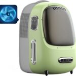 Pet Import Requirements USA: A Practical Guide for Pet Owners