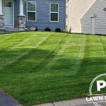 Weekly Lawn Care New Hope: Dependable Yard Maintenance