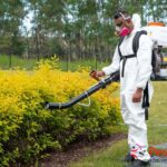 Bed Bug Exterminator: Safe, Effective Pest Control in Calgary