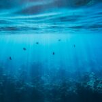 Emergency Dental Care Ottawa: Fast, Friendly Dental Support