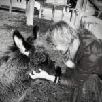 Spirit of Nature Tierberatung – Vertrauen schaffen, Tiere besser verstehen