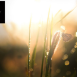 Parterapi Östermalm – hitta stöd för bättre kommunikation