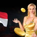 Live Casino Online: Real Dealers, Real-Time Play and Top Bonuses