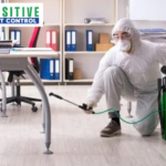 Top Pest Control Services in Calgary for Homes & Businesses