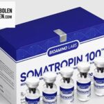 Anabolen kopen: discreet en betrouwbaar voor prestaties