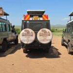 Tsavo West Safari: Wild Escapes, Lava Flows & Rich Wildlife