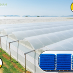 BOPP Clear Tape UAE for Packaging & Sealing