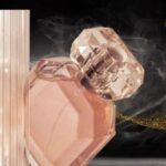 A Whiff of Nightfall: Discover the Allure of Fragrance Journeys