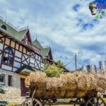 Private & Guided Tours to Moldova | Explore at Your Pace