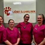 Veterinär hembesök i Skurup – bekvämt och omtänksamt